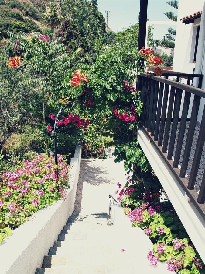Oliaria Apartments Platanias  Luaran gambar