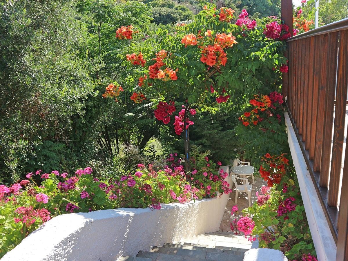 Oliaria Apartments Platanias  Luaran gambar