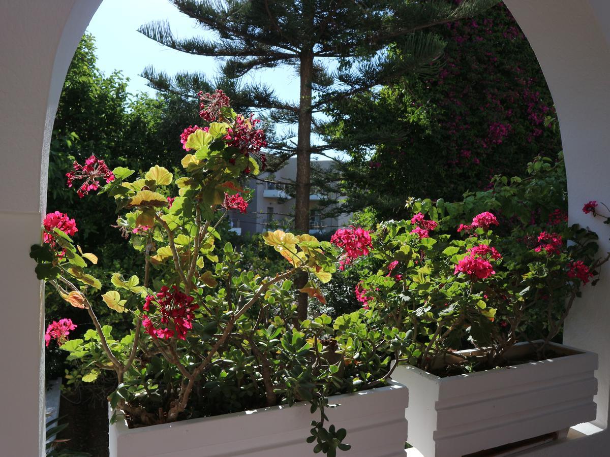 Oliaria Apartments Platanias  Luaran gambar