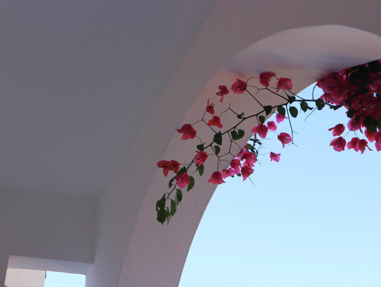 Oliaria Apartments Platanias  Luaran gambar
